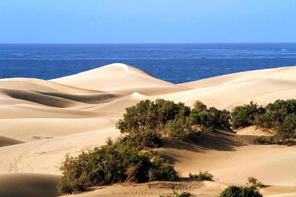 Cozy Bungalow Maspalomas Green Экстерьер фото